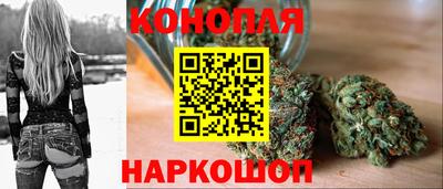 прущие грибы Гусев