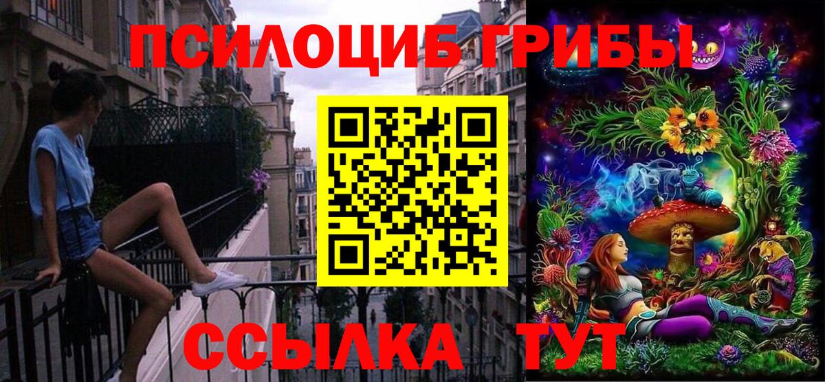 Псилоцибиновые грибы мицелий Киреевск