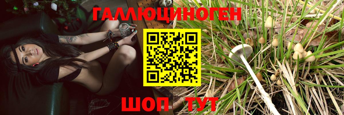 Киреевск  Псилоцибиновые грибы Psilocybe  Вход с VPN  Галлюциногенные грибы Psilocybine cubensis 